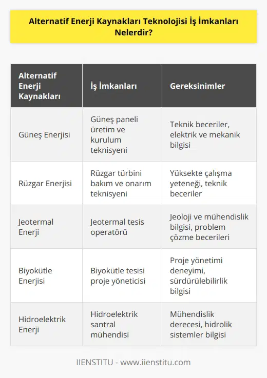 Enerji üretim şirketleri ve dağıtım şirketleri iş imkanı olan alanlardır. Alternatif Enerji kaynakları programını başarıyla tamamlayan öğrenciler için Kamu Personeli Seçme Sınavı ile devlet memuru olma ihtimali azdır. Çünkü bölüme özel kadro açılmamaktadır.