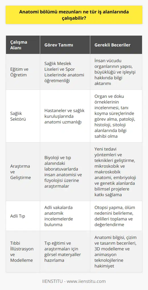 Anatomi Bölümü Mezunlarının İş Alanları  İnsan anatomisi, vücudumuzdaki organları tanımlayan ve bu organlar arasındaki bağlantıları inceleyen ana bilim dalıdır. Anatominin alt dalları ise makroskobik anatomi, mikroskobik anatomi, sitoloji, gelişimsel anatomi ve patolojik anatomi olarak sıralanır. Anatomi bölümünden mezun olan kişiler, geniş bir iş alanında çalışma imkanına sahiptir. Bu yazıda, anatomi bölümü mezunlarının ne tür iş alanlarında çalışabileceğine değineceğiz.  Eğitim ve Öğretim Alanı  Anatomi bölümü mezunları, özellikle eğitim ve öğretim alanında görev alabilirler. Üniversitelerin biyoloji ile ilgili bölümlerinden mezun olan kişiler, Sağlık Meslek Liseleri ve Spor Liselerinde anatomi öğretmeni olarak görev yapabilirler. Anatomi öğretmenleri, insan vücudundaki organların yapısı, büyüklüğü ve işleyişi ile ilgili bilgileri öğrencilere aktarır ve bu konuda eğitim verir.  Sağlık Sektörü  Anatomi bölüm mezunları, sağlık sektöründe de görev alabilirler. Bu mezunlar, hastanelerde ve sağlık kuruluşlarında anatomi uzmanları olarak çalışarak, organ ve doku örneklerinin incelenmesi ve tanı koyma süreçlerinde görev alabilirler. Bu alanda çalışan anatomi bölümü mezunlarının patoloji, histoloji, sitoloji gibi alanlarda bilgi sahibi olması gerekmektedir.  Araştırma ve Geliştirme  Anatomi bölümü mezunları, araştırma ve geliştirme alanında da önemli roller üstlenebilirler. Biyoloji ve tıp alanındaki laboratuvarlarda, insan anatomisi ve fizyolojisiyle ilgili araştırmalar yaparak, yeni tedavi yöntemleri ve teknikleri üzerine çalışmalar gerçekleştirebilirler. Bu kapsamda, mikroskobik ve makroskobik anatomi, embriloji ve genetik alanlarda bilimsel projelere katkı sağlayabilirler.  Sonuç olarak, anatomi bölümü mezunları, eğitim ve öğretim, sağlık sektörü ve araştırma ve geliştirme alanlarında çeşitli iş olanaklarıyla kariyer yapabilirler. Bu mezunların, tıp ve insan vücudu hakkında, organlar ve sistemler ile ilgili son derece iyi bilgi sahibi olmaları, iş bulma imkanlarını artırmaktadır. Her alanda başarılı olabilmek için, mezunlar eğitim süreçlerini ve mesleki becerilerini sürekli olarak geliştirmelidir.