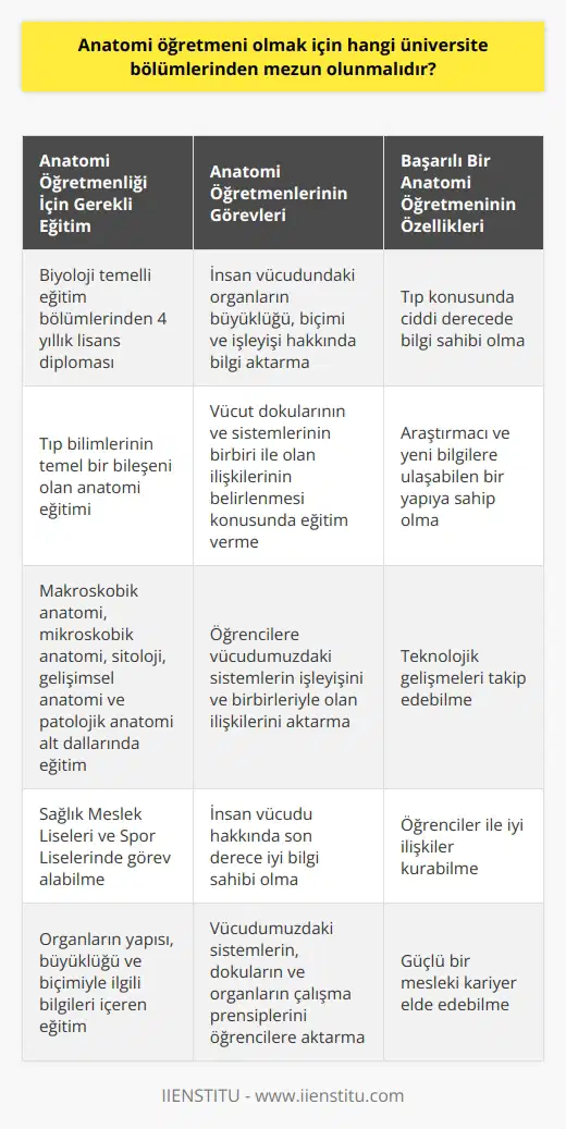 Anatomi Öğretmeni Olmak İçin Gereken Üniversite Bölümleri  İnsan anatomisi, vücudumuzda yer alan organları tanımlayan ve bu organlar arasındaki bağlantıyı inceleyen ana bilim dalıdır. Anatomi, makroskobik anatomi, mikroskobik anatomi, sitoloji, gelişimsel anatomiyi ve patolojik anatomiyi içeren alt dallara sahiptir. Tıp bilimlerinin temel bir bileşeni olan anatomi, organların yapısı, büyüklüğü ve biçimiyle ilgili bilgileri içerir. Ayrıca, anatomi öğretmenleri, vücudumuzdaki sistemlerin işleyişini ve birbirleriyle olan ilişkilerini inceleyip öğrencilerine aktarır. Bu nedenle, anatomi öğretmeni olmak isteyen kişilerin tıp ve insan vücudu hakkında son derece iyi bilgi sahibi olmaları gerekmektedir.  Öğretmen Olmak İçin Üniversite Bölümü Seçimi  Anatomi öğretmeni olmak isteyen kişilerin üniversite eğitimiyle ilgili kararlarını verirken dikkate alması gereken bazı önemli noktalar vardır. Öncelikle, anatomi öğretmeni olabilmek için biyoloji temelli eğitim bölümlerinden 4 yıllık lisans diploması almak gereklidir. Bu diplomaya sahip olan kişiler, Sağlık Meslek Liseleri ve Spor Liselerinde görev alabilirler.  Anatomi Eğitiminin Önemi ve Mesleki Gereklilikler  Anatomi öğretmenleri, insan vücudundaki organların büyüklüğü, biçimi, ve işleyişi ile ilgili bilgileri öğrencilerine aktarır. Ayrıca, vücut dokularının ve sistemlerinin birbiri ile olan ilişkilerinin belirlenmesi konusunda eğitim verirler. Bu sebeple, tıp konusunda ciddi derecede bilgi sahibi olması önemlidir. Başarılı bir anatomi öğretmeni, araştırmacı ve yeni bilgilere ulaşabilen bir yapıya sahip olmalıdır. Aynı zamanda, teknolojik gelişmeleri takip edebilen ve öğrenciler ile iyi ilişkiler kurabilen bir öğretmen daha başarılı olacaktır.  Sonuç olarak, anatomi öğretmeni olmak isteyen kişilerin başarılı olabilmeleri için özellikle biyoloji temelli eğitim bölümlerinden 4 yıllık lisans diplomasına sahip olmaları ve mesleki gerekliliklere dikkat etmeleri önemlidir. Bu şekilde, anatomi öğretmenleri, vücudumuzdaki sistemlerin, dokuların ve organların çalışma prensiplerini ve bu sistemlerin birbiri ile olan ilişkilerini öğrencilerine başarılı bir şekilde aktarabilir ve güçlü bir mesleki kariyer elde edebilirler.