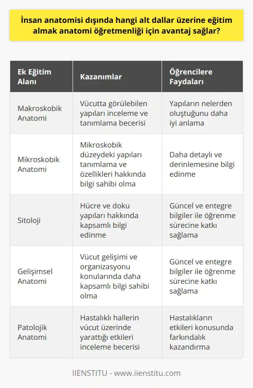 Anatomi Öğretmenliği İçin Ek Eğitim Alanlarının Avantajları  İnsan anatomisi dışında anatomi öğretmenliği için alınacak ek eğitimler, öğretmenlerin daha donanımlı ve yetkin hale gelmelerine katkı sağlar. Bu alt dallar arasında makroskobik anatomi, mikroskobik anatomi, sitoloji, gelişimsel anatomi ve patolojik anatomi bulunmaktadır. Alınacak bu eğitimler, anatomi öğretmenlerinin vücut sistemleri, doku ve organların işleyişi ile ilgili kapsamlı ve güncel bilgilere sahip olmalarını sağlar.  Öncelikle, makroskobik anatomi üzerine eğitim almak anatomi öğretmenleri için avantajlıdır. Bu eğitimle öğretmenler, vücutta görülebilen yapıları inceleme ve öğrencilere bu yapıların nelerden oluştuğunu aktarma konusunda bilgili hale gelirler.  Mikroskobik anatomi eğitimi almak ise öğretmenlerin mikroskobik düzeydeki yapıları tanımlama ve öğrencilere bu yapıların özelliklerini anlatırken daha bilinçli olmalarına yardımcı olur. Bu sayede öğrencilere daha detaylı ve derinlemesine bilgi aktarılabilmektedir.  Sitoloji ve gelişimsel anatomi alanlarında eğitim alan öğretmenler ise, hücre ve doku yapıları ile vücut gelişimi ve organizasyonu konularında daha kapsamlı bilgi sahibi olurlar. Bu, öğrencilere güncel ve entegre bilgiler sunarak öğrenme süreçlerine katkıda bulunmalarını sağlar.  Son olarak, patolojik anatomi eğitimi alan öğretmenler, hastalıklı hallerin vücut üzerinde yarattığı etkileri inceleyebilir ve bu bilgileri öğrencilere aktararak, onların bu konuda farkındalık sahibi olmalarını sağlar.  Kısacası, insan anatomisi dışında makroskobik anatomi, mikroskobik anatomi, sitoloji, gelişimsel anatomi ve patolojik anatomi üzerine eğitim almak anatomi öğretmenlerinin bilgi ve beceri düzeyini artırmakta ve öğrencilere sundukları eğitim kalitesini artırmaktadır. Bu sayede öğretmenler, vücut sistemleri, doku ve organlarının işleyişini daha iyi anlayarak, öğrencilerine daha etkili ve nitelikli eğitimler verebilirler.