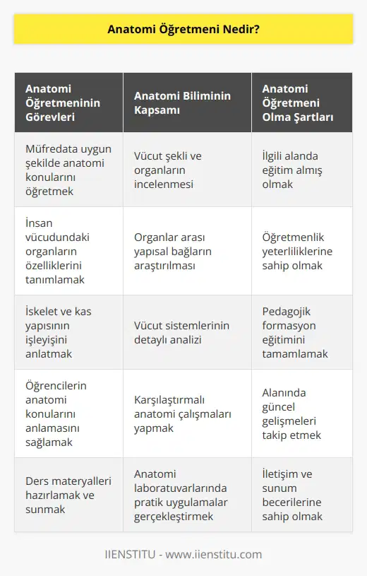 Anatomi öğretmeni vücut şekli, organlar ve organlar arası yapısal bağları inceleyen anatomi bilim dalı konularını müfredata uygun bir şekilde öğrencileri ile paylaşan öğretmenlerdir. İnsan vücudundaki organların ölçüleri, biçimi gibi özelliklerinin tanımlanması, iskelet ve kas yapısının işleyişinin anlaşılması ile ilgili bilgileri öğrencilerine aktarmaktan sorumlu olan kişidir. Gerekli eğitimleri tamamladıktan sonra bu alanda hizmet verebilirler.