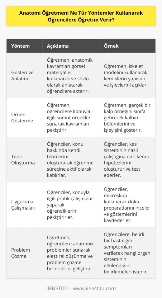 Anatomi öğretmeni öğrencilere öğretim vermek için birçok farklı yöntem kullanabilir. Örnek olarak, öğretmenler öğrencilere anatomik kavramları göstererek ve anlatarak, örnekleri göstererek, öğrencilerin konu hakkında kendi teorileri oluşturmasını sağlayarak, konuyla ilgili çalışmalar yaparak, bilgiyi tekrarlayarak, problem çözmeyi öğreterek veya öğrencilerin öğrenmeyi kendi başlarına keşfetmelerini sağlayarak öğretim verir.