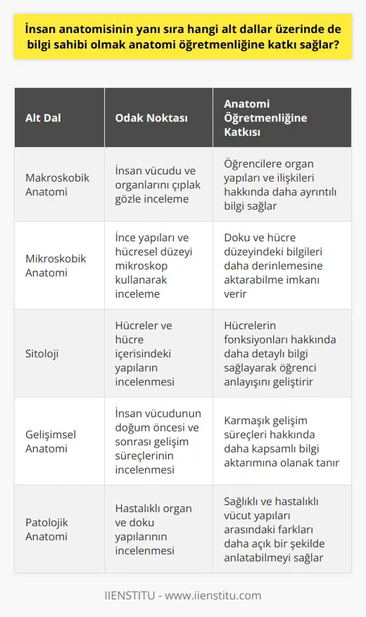 Alt Dalları İle İlgili Bilgi Sahibi Olma ve Anatomi Öğretmenliğine Katkılar İnsan anatomisi, vücudumuzdaki organları tanımlayan ve aralarındaki bağlantıyı inceleyen temel tıp bilimidir. Bu alanda anatomi öğretmenleri, öğrencilere iskelet ve kas yapısı, organlar arasındaki yapısal ilişkiler gibi genel bilgileri aktarırken, konuyla ilgili alt dallara da değinirler: makroskobik anatomi, mikroskobik anatomi, sitoloji, gelişimsel anatomi ve patolojik anatomi. Bu alt dallara hâkim olmak, anatomi öğretmenlerinin öğrencilere daha geniş ve derinlemesine bilgi sunabilmesini sağlar. Makroskobik ve Mikroskobik Anatomi Bilgisi Makroskobik anatomi, insan vücudu ve organlarını çıplak gözle incelerken, mikroskobik anatomi, ince yapıları ve hücresel düzeyi incelemek için mikroskop kullanır. Bu alt dalları iyi bilen anatomi öğretmenleri, özellikle doku ve hücre düzeyindeki bilgileri daha ayrıntılı olarak öğrencilere aktarabilirler. Sitoloji ve Gelişimsel Anatomi Üzerine Bilgi Sahibi Olma Sitoloji, hücreleri ve hücre içerisindeki yapıları inceleyen bir bilim dalıdır. Gelişimsel anatomi ise insan vücudunun doğum öncesi ve sonrası gelişim süreçlerini inceler. Anatomi öğretmenleri, bu alt dalların bilgisi sayesinde öğrencilere hücrelerin fonksiyonları ve karmaşık gelişim süreçleri hakkında daha detaylı bilgi sağlayabilirler. Patolojik Anatomi Bilgisi ve Öğretmenlikte Olan Etkisi Patolojik anatomi, hastalıklı organ ve doku yapılarının incelenmesi üzerine yoğunlaşır. Bu alandaki bilgi birikimi, anatomi öğretmenlerinin öğrencilere sağlıklı ve hastalıklı vücut yapıları arasındaki farkları ve bu farkların tıbbi sonuçlarını daha açık bir şekilde anlatabilmesine yardımcı olur. Sonuç olarak, anatomi öğretmenlerinin insan anatomisiyle birlikte alt dallar üzerinde de bilgi sahibi olması, öğrencilere daha kapsamlı ve derinlemesine bir eğitim sunabilme yeteneğini artırır. Bu sayede öğretmenler, öğrencilerin tıp alanında çok yönlü ve sağlam bir temel oluşturmalarını sağlamış olur. Bu nedenle, anatomi öğretmeni adaylarının kendilerini bu alt dallarda geliştirmeleri öğretmenlik kariyerlerinde başarılı olmaları açısından oldukça önemlidir.