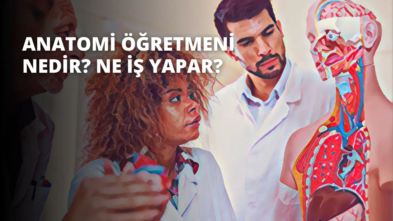 Anatomi Öğretmeni Nedir? Ne İş Yapar?