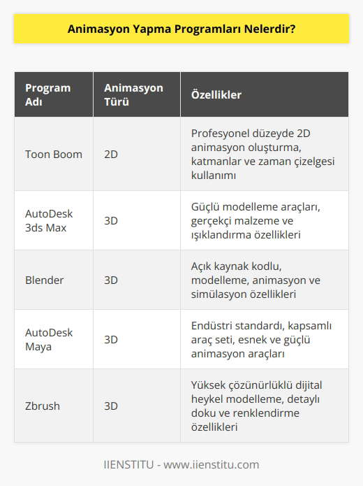 2D animasyon projeleri üzerinde Toon Boom, Synfig Studio, CrazyTalk Animator, Digicel FilipBook ve    Studio gibi programları kullanılmaktadır. 3 boyutlu vektörlerin kullanılarak yapıldığı programlar içerisinde AutoDesk 3ds Max, Maxon Cinema 4D, Blender, AutoDesk Maya, Zbrush yer almaktadır. 3D ile ilgili animasyon programları göz önüne alındığında en çok, en rahat ve en kapsamlı içeriğe sahip olan animasyon yapma program AutoDesk Maya’dır.