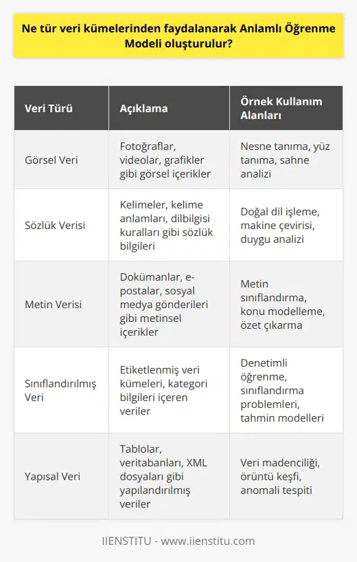 Anlamlı öğrenme modelleri, çeşitli türlerde veri kümelerinden faydalanmak için tasarlanmıştır. Bu veri kümeleri, örnek olarak, görsel veri, sözlük verisi, metin verisi veya sınıflandırılmış veri gibi çeşitli veri türleri olabilir. Anlamlı öğrenme modelleri, bu verileri toplayarak, öğrenme için kullanılabilir anlamlı özellikleri çıkarır ve bu özelliklerin üzerinden öğrenme gerçekleştirir.