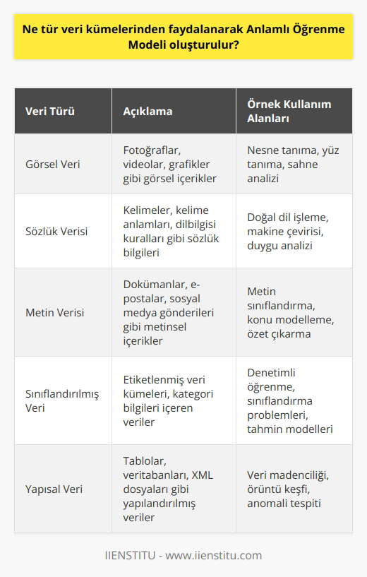 Anlamlı öğrenme modelleri, çeşitli türlerde veri kümelerinden faydalanmak için tasarlanmıştır. Bu veri kümeleri, örnek olarak, görsel veri, sözlük verisi, metin verisi veya sınıflandırılmış veri gibi çeşitli veri türleri olabilir. Anlamlı öğrenme modelleri, bu verileri toplayarak, öğrenme için kullanılabilir anlamlı özellikleri çıkarır ve bu özelliklerin üzerinden öğrenme gerçekleştirir.