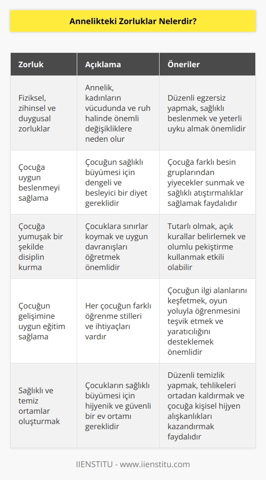 1. Fiziksel, zihinsel ve duygusal zorluklar. 2. Çocuğa uygun beslenmeyi sağlama ve sağlıklı beslenme alışkanlıklarını kazandırma. 3. Çocuğa yumuşak bir şekilde disiplin kurma. 4. Çocuğun gelişimine ve sağlığına uygun olarak onu eğitme. 5. Sağlıklı ve temiz ortamlar oluşturmak. 6. Sosyal becerileri geliştirmek. 7. İlgi ve sevgi göstermek. 8. Geçim kaynaklarını sağlamak. 9. Çocuğu güvende hissettirmek. 10. Çocuğun zaman yönetimi ve yetişkinlerin zaman yönetimi arasındaki dengeyi sağlamak.
