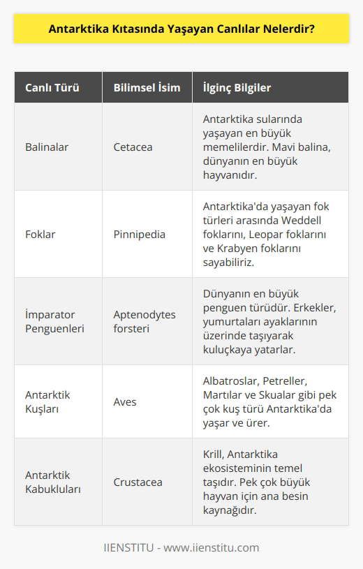 Antarktika Kıtasında yaşayan canlılar arasında balina, fok, krallar ve pinguenler bulunur. Diğer canlılar arasında antarktik kuşları, kutup ayıları, kutup fareleri, kutup köpekbalıkları, kutup balıkları, antarktik kabukluları, antarktik molusları, antarktik kabukluları ve antarktik kabukluları bulunur.