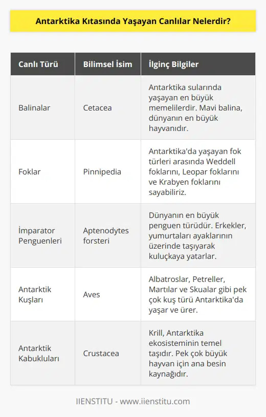 Antarktika Kıtasında yaşayan canlılar arasında balina, fok, krallar ve pinguenler bulunur. Diğer canlılar arasında antarktik kuşları, kutup ayıları, kutup fareleri, kutup köpekbalıkları, kutup balıkları, antarktik kabukluları, antarktik molusları, antarktik kabukluları ve antarktik kabukluları bulunur.