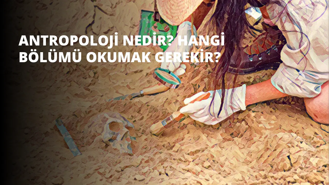 Antropoloji Nedir? Hangi Bölümü Okumak Gerekir?