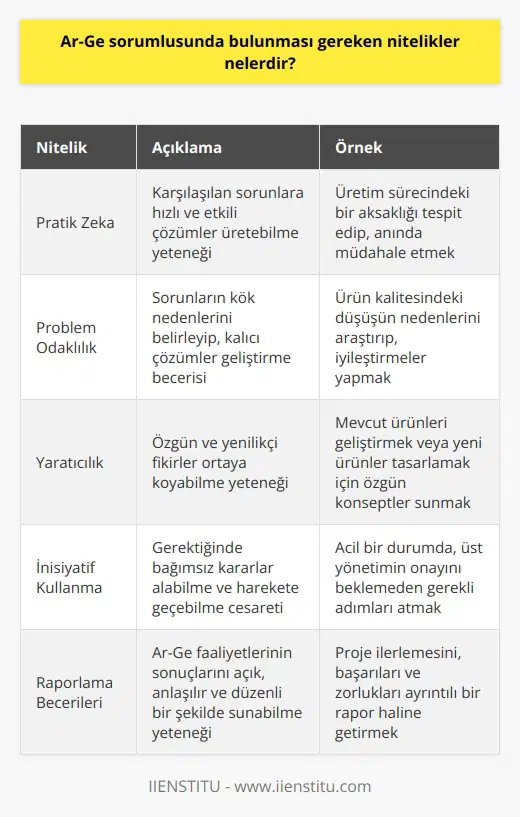 Pratik zeka ile problem odaklı olmalıdır, yaratıcı fikirler geliştirebilmelidir. İnisiyatif kullanabilmeli li ve i güçlü olmalıdır. Raporlama faaliyetlerini yapabilecek yetenekte olmalıdır.