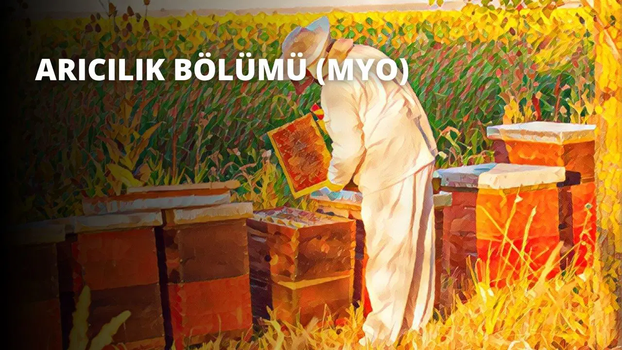 Arıcılık Bölümü (MYO)