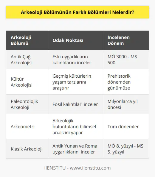 • Antik Çağ Arkeolojisi • Kültür Arkeolojisi • Paleontolojik Arkeoloji • Jeolojik Arkeoloji • Arkeometri • Uygarlık Arkeolojisi • Etnografik Arkeoloji • Siyasi Arkeoloji • Ulaşım Arkeolojisi • Klasik Arkeoloji • Ekonomik Arkeoloji • Numismatik Arkeoloji • Teknolojik Arkeoloji • Sanatsal Arkeoloji • Arkeoastronomi • Sosyal Arkeoloji • Ekolojik Arkeoloji • Kültürel Arkeoloji