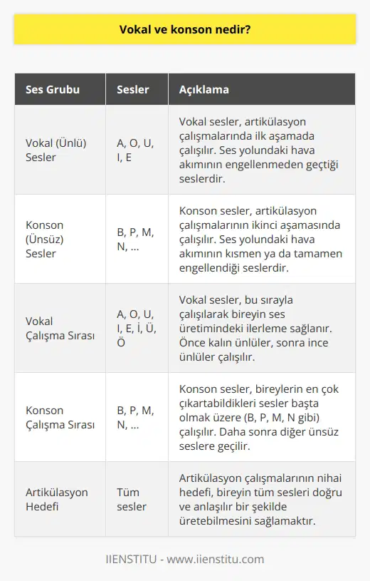 Artikülasyon çalışmaları için başlanması gereken iki aşamadır. İlk önce vokal grubu ile başlayarak  A, O U, B, I, E, İ, Ü, Ö sesleri çalışılır. Diğer grup ise bireyler tarafından en çok çıkartılan sesler başta B, P, M, N olmak üzere seslerin çalışılması durumudur.