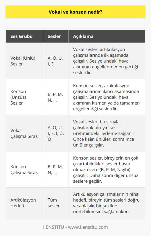 Artikülasyon çalışmaları için başlanması gereken iki aşamadır. İlk önce vokal grubu ile başlayarak A, O U, B, I, E, İ, Ü, Ö sesleri çalışılır. Diğer grup ise bireyler tarafından en çok çıkartılan sesler başta B, P, M, N olmak üzere seslerin çalışılması durumudur.