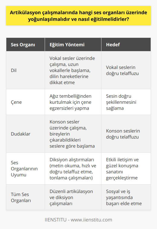 Artikülasyon Çalışmalarında Odaklanılması Gereken Ses Organları ve Eğitim Yöntemleri Konuşma becerisinin geliştirilmesi, çeşitli ses organlarının uyumlu bir şekilde çalışması sonucu sağlanır. Artikülasyon ve diksiyon çalışmalarında, bireylerin doğru ve becerisine sahip olmaları adına, ses organları üzerinde yoğunlaşılmalıdır. Ses organlarının eğitim sürecinde, dil, çene ve dudakların bir arada çalışarak sese şekil vermesi hedeflenir. Bu bağlamda, ağız tembelliğinden kurtulmak için dil, çene ve dudakları çalıştıran hareketler ve egzersizlere öncelik verilmelidir. Vokal ve Konson Sesler Üzerinde Çalışma Öncelikle, artikülasyon çalışmalarında bireylerin konson ve vokal seslerini temiz çıkarmaları önemlidir. Bu süreçte, öncelikle vokal seslerine odaklanılmalıdır. Vokal ses grubu, A, O, U, I, E, İ, Ü, Ö seslerini içerir. Çalışmaları başlatırken uzun vokallerle başlanmalı ve seslerin doğru telaffuzu esnasında dilin hareketlerine dikkat edilmelidir. Daha sonra, konson sesler üzerinde çalışmaya başlanmalıdır. Bu grup B, P, M, N sessiz harflerinden oluşur. Konson çalışmalarında, bireylerin bireysel olarak çıkarabildikleri seslere göre başlamaları önerilir. Artikülasyon ve Diksiyon Alıştırmaları Artikülasyon çalışmalarının tamamlanmasının ardından, bireyler diksiyon alıştırmalarına geçmelidir. Bu çalışmalar, sözcüklerin doğru ve açık bir şekilde telaffuz edilip etkili iletişimin sağlanması amacı ile önem taşır. Diksiyon alıştırmaları, metin okuma, hızlı ve doğru telaffuz etme ve tonlama çalışmaları gibi farklı eğitim yöntemlerini içerir. Bu çalışmalar sayesinde bireylerin sosyal yaşantıda ve iş hayatında güzel ve sanatını gerçekleştirebilmesi ve etkili iletişim kurabilmesi hedeflenir. Sonuç olarak, artikülasyon çalışmalarında doğru ve becerisinin geliştirilmesi adına, dil, çene ve dudaklar gibi ses organları üzerinde yoğunlaşılmalıdır. İyi bir konuşma becerisine sahip olmak, bireylerin sosyal ve iş yaşantısında başarı elde etmelerine yardımcı olacaktır.