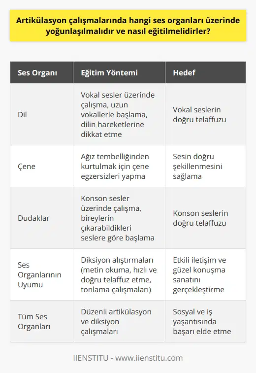Artikülasyon Çalışmalarında Odaklanılması Gereken Ses Organları ve Eğitim Yöntemleri Konuşma becerisinin geliştirilmesi, çeşitli ses organlarının uyumlu bir şekilde çalışması sonucu sağlanır. Artikülasyon ve diksiyon çalışmalarında, bireylerin doğru ve becerisine sahip olmaları adına, ses organları üzerinde yoğunlaşılmalıdır. Ses organlarının eğitim sürecinde, dil, çene ve dudakların bir arada çalışarak sese şekil vermesi hedeflenir. Bu bağlamda, ağız tembelliğinden kurtulmak için dil, çene ve dudakları çalıştıran hareketler ve egzersizlere öncelik verilmelidir. Vokal ve Konson Sesler Üzerinde Çalışma Öncelikle, artikülasyon çalışmalarında bireylerin konson ve vokal seslerini temiz çıkarmaları önemlidir. Bu süreçte, öncelikle vokal seslerine odaklanılmalıdır. Vokal ses grubu, A, O, U, I, E, İ, Ü, Ö seslerini içerir. Çalışmaları başlatırken uzun vokallerle başlanmalı ve seslerin doğru telaffuzu esnasında dilin hareketlerine dikkat edilmelidir. Daha sonra, konson sesler üzerinde çalışmaya başlanmalıdır. Bu grup B, P, M, N sessiz harflerinden oluşur. Konson çalışmalarında, bireylerin bireysel olarak çıkarabildikleri seslere göre başlamaları önerilir. Artikülasyon ve Diksiyon Alıştırmaları Artikülasyon çalışmalarının tamamlanmasının ardından, bireyler diksiyon alıştırmalarına geçmelidir. Bu çalışmalar, sözcüklerin doğru ve açık bir şekilde telaffuz edilip etkili iletişimin sağlanması amacı ile önem taşır. Diksiyon alıştırmaları, metin okuma, hızlı ve doğru telaffuz etme ve tonlama çalışmaları gibi farklı eğitim yöntemlerini içerir. Bu çalışmalar sayesinde bireylerin sosyal yaşantıda ve iş hayatında güzel ve sanatını gerçekleştirebilmesi ve etkili iletişim kurabilmesi hedeflenir. Sonuç olarak, artikülasyon çalışmalarında doğru ve becerisinin geliştirilmesi adına, dil, çene ve dudaklar gibi ses organları üzerinde yoğunlaşılmalıdır. İyi bir konuşma becerisine sahip olmak, bireylerin sosyal ve iş yaşantısında başarı elde etmelerine yardımcı olacaktır.