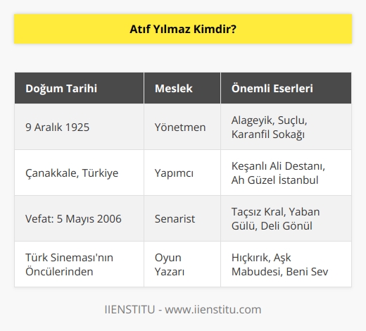 Türk sinemasında önemli yere sahiptir. Yönetmen, yapımcı ve senaristtir. Türk sinemasına yüzlerce başarılı eser kazandırmıştır.