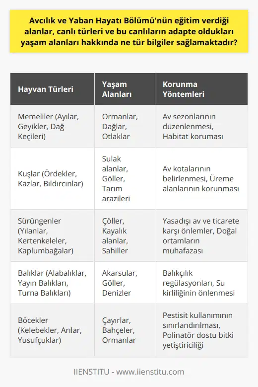 Avcılık ve Yaban Hayatı Bölümü, bir dizi hayvan ve bitki türünün avlanması, türlerin yaşam alanlarında gerçekleşen değişiklikler ve avlanmanın çevreye verdikleri zararlar hakkında bilgi verir. Bu bilgiler, insanların çevreyi korumayı ve avlanmayı sürdürülebilir bir şekilde gerçekleştirmeyi öğrenmelerine yardımcı olur.  Bölümün eğittiği alanlarında en önemli nokta, avcılığı doğru ve saygı ile yapmanın gerekliliğidir. Avcılığın doğru ve saygıyla yapılması, türlerin devamlılığı ve çevrenin korunması için hayati önem taşır. Bu bilgi, avcılık etiğine ve ve yiyeceği avlarken türlerin korunması gerekliliğine vurgu yapar.  Bölüm, öğrencilerinin memeliler, kuşlar ve sürüngenler gibi çeşitli türler hakkında derinlemesine bilgi sahibi olmalarını sağlar. Öğrencilere, bu türlerin yaşadığı çevreler ve nasıl hayatta kaldıkları konusunda bilgiler sunar. Buna ek olarak, bu türlerin diğer canlılara ve çevreye nasıl etki ettikleri ve nasıl korunmaları gerektiği hakkında bilgi verir.  Bunun yanı sıra, Bölüm ayrıca avcılığın ve vahşi yaşamın korunmasıyla ilgili uluslararası kanunlar ve düzenlemeler hakkında bilgi sağlar. Avcının ses dönemleri ve avlama yılı gibi konular hakkında bilgi verir ve bu bilgileri kullanarak avlama ve çevre koruma stratejileri geliştirme amacı güder.  Bölüm, yaban hayatını koruyacak tekniklerin öğretildiği ve bu konuda bilgi ve beceri sağladığı üniversite programlarında ders verir. Bu bilgiler, öğrencilere, yaban hayvanlarının nesillerini devam ettirme ve milli serveti koruma konusunda yardımcı olur.  Son olarak, Bölüm; yaban hayvanları, onların yaşam alanları ve nasıl başarıyla hayatta kalabilecekleri konusunda detaylı bilgiler sağlar. Ayrıca, hayvanların kendi çevrelerine nasıl adapte oldukları, nasıl beslendikleri ve iklim değişiklikleri konusunda nasıl hayatta kaldıkları gibi konularda bilgiler sunar.  Sonuçta, Avcılık ve Yaban Hayatı Bölümü; avcılığın sürdürülebilirliği, yaban hayatının korunması ve türlerin adaptasyonu gibi konularda bilgi ve beceri sağlar. Bu bilgiler, çevrenin ve hayvan türlerinin korunmasına yardımcı olmak ve avlanmanın çevreye yol açabileceği potansiyel zararları en aza indirmek için kullanılır. Bu bilgi ve beceri, son derece değerlidir ve hem bireylerin hem de toplumun genelinde avcılık ve vahşi yaşam koruma çabalarına yardımcı olur.