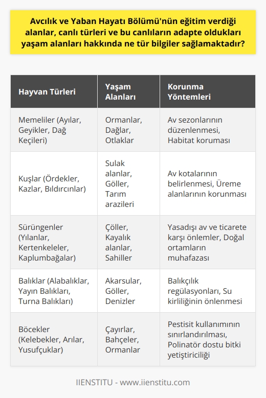 Avcılık ve Yaban Hayatı Bölümü, bir dizi hayvan ve bitki türünün avlanması, türlerin yaşam alanlarında gerçekleşen değişiklikler ve avlanmanın çevreye verdikleri zararlar hakkında bilgi verir. Bu bilgiler, insanların çevreyi korumayı ve avlanmayı sürdürülebilir bir şekilde gerçekleştirmeyi öğrenmelerine yardımcı olur. Bölümün eğittiği alanlarında en önemli nokta, avcılığı doğru ve saygı ile yapmanın gerekliliğidir. Avcılığın doğru ve saygıyla yapılması, türlerin devamlılığı ve çevrenin korunması için hayati önem taşır. Bu bilgi, avcılık etiğine ve ve yiyeceği avlarken türlerin korunması gerekliliğine vurgu yapar. Bölüm, öğrencilerinin memeliler, kuşlar ve sürüngenler gibi çeşitli türler hakkında derinlemesine bilgi sahibi olmalarını sağlar. Öğrencilere, bu türlerin yaşadığı çevreler ve nasıl hayatta kaldıkları konusunda bilgiler sunar. Buna ek olarak, bu türlerin diğer canlılara ve çevreye nasıl etki ettikleri ve nasıl korunmaları gerektiği hakkında bilgi verir. Bunun yanı sıra, Bölüm ayrıca avcılığın ve vahşi yaşamın korunmasıyla ilgili uluslararası kanunlar ve düzenlemeler hakkında bilgi sağlar. Avcının ses dönemleri ve avlama yılı gibi konular hakkında bilgi verir ve bu bilgileri kullanarak avlama ve çevre koruma stratejileri geliştirme amacı güder. Bölüm, yaban hayatını koruyacak tekniklerin öğretildiği ve bu konuda bilgi ve beceri sağladığı üniversite programlarında ders verir. Bu bilgiler, öğrencilere, yaban hayvanlarının nesillerini devam ettirme ve milli serveti koruma konusunda yardımcı olur. Son olarak, Bölüm; yaban hayvanları, onların yaşam alanları ve nasıl başarıyla hayatta kalabilecekleri konusunda detaylı bilgiler sağlar. Ayrıca, hayvanların kendi çevrelerine nasıl adapte oldukları, nasıl beslendikleri ve iklim değişiklikleri konusunda nasıl hayatta kaldıkları gibi konularda bilgiler sunar. Sonuçta, Avcılık ve Yaban Hayatı Bölümü; avcılığın sürdürülebilirliği, yaban hayatının korunması ve türlerin adaptasyonu gibi konularda bilgi ve beceri sağlar. Bu bilgiler, çevrenin ve hayvan türlerinin korunmasına yardımcı olmak ve avlanmanın çevreye yol açabileceği potansiyel zararları en aza indirmek için kullanılır. Bu bilgi ve beceri, son derece değerlidir ve hem bireylerin hem de toplumun genelinde avcılık ve vahşi yaşam koruma çabalarına yardımcı olur.