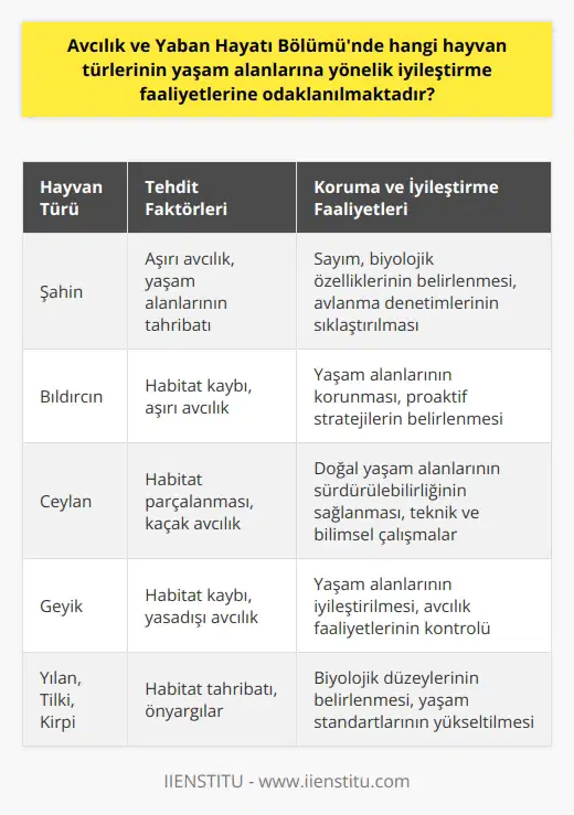 Avcılık ve Yaban Hayatı Bölümünde yaşam alanlarına yönelik iyileştirme faaliyetlerine odaklanılan hayvan türleri öncelikli olarak, biyolojik çeşitlilik ve ekosistemin önemli bir parçası olan hayvanlardır. Bu çerçevede, nesli tehlikede veya tükenme sürecinde olan, aşırı avcılık tehdidine maruz kalan hayvanlar başta olmak üzere; şahin, bıldırcın, ceylan, geyik, yılan, tilki ve kirpi gibi türlerin yaşam alanlarının korunması ve sürekli iyileştirilmesi amaçlanmaktadır.   Bu bağlamda; hayvanların doğal yaşam alanlarını sürdürebilmeleri, çeşitli tehdit ve tehlikelere karşı korunmaları ve hayat standartlarının yükseltilmesi için bir dizi teknik ve teorik strateji geliştirme faaliyetlerine odaklanılmaktadır. Bu faaliyetler arasında; hayvanların sayımı, biyolojik özellik ve düzeylerinin belirlenmesi, avlanma zamanlarına yönelik denetimlerin sıklaştırılması, yaban hayatının korunması ve geliştirilmesine yönelik proaktif stratejilerin belirlenmesi gibi konular bulunmaktadır. Ayrıca, Akarsu, göl, orman, deniz ve hava gibi farklı yaşam alanlarında çeşitli teknik ve bilimsel çalışmalar yürütülerek, hayvanların yaşam alanlarının iyileştirilmesine yönelik adımlar atılmaktadır.  Bu faaliyetlerin etkin bir şekilde gerçekleştirilebilmesi için, Bölüm; yaban hayatı teknikerlerinin yetiştirildiği meslek yüksekokulları programlarında dersler vermektedir. Öğrencilere, yaban hayatının korunması ve geliştirilmesine yönelik teknik ve teorik bilgiler aktarılırken; yaban hayvanlarının yaşam alanlarına yönelik iyileştirme stratejilerinin uygulanmasına ve avlanma faaliyetlerinin kontrolüne yardımcı olabilecek beceri ve bilgilerin edinilmesi amaçlanmaktadır. Bu çerçevede, öğrenciler; yaban hayvanlarının neslinin devamına katkı sağlamak ve milli serveti korumak adına hayvanların yaşam alanlarının iyileştirilmesine yönelik önemli adımlar atmaktadırlar.  Sonuç olarak, Avcılık ve Yaban Hayatı Bölümü; nesli tehlikede olan veya aşırı avlanma tehdidi altında bulunan tüm hayvanların yaşam alanlarını koruyarak, biyolojik çeşitliliğin devamını sağlamak üzere iyileştirme faaliyetlerine odaklanmaktadır. Bu çerçevede, programın öğrencilere sağladığı teknik ve teorik eğitimler; yaban hayatının korunması ve geliştirilmesi hedeflerine ulaşmak için büyük önem taşımaktadır. Yapılan çalışmalarla beraber, yaban hayatının ve av hayvanlarının korunması için gereken eğitime önem veren bir sonraki nesil yetiştirilmesi hedeflenmektedir. Bu durum sadece bölgenin doğal çevresini ve habitatını iyileştirmekle kalmayıp, aynı zamanda av hayvanlarının ve yaban hayatının sürdürülebilirliğini de sağlamaktadır.