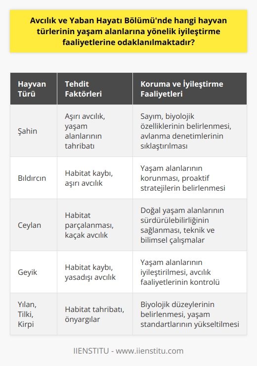 Avcılık ve Yaban Hayatı Bölümünde yaşam alanlarına yönelik iyileştirme faaliyetlerine odaklanılan hayvan türleri öncelikli olarak, biyolojik çeşitlilik ve ekosistemin önemli bir parçası olan hayvanlardır. Bu çerçevede, nesli tehlikede veya tükenme sürecinde olan, aşırı avcılık tehdidine maruz kalan hayvanlar başta olmak üzere; şahin, bıldırcın, ceylan, geyik, yılan, tilki ve kirpi gibi türlerin yaşam alanlarının korunması ve sürekli iyileştirilmesi amaçlanmaktadır. Bu bağlamda; hayvanların doğal yaşam alanlarını sürdürebilmeleri, çeşitli tehdit ve tehlikelere karşı korunmaları ve hayat standartlarının yükseltilmesi için bir dizi teknik ve teorik strateji geliştirme faaliyetlerine odaklanılmaktadır. Bu faaliyetler arasında; hayvanların sayımı, biyolojik özellik ve düzeylerinin belirlenmesi, avlanma zamanlarına yönelik denetimlerin sıklaştırılması, yaban hayatının korunması ve geliştirilmesine yönelik proaktif stratejilerin belirlenmesi gibi konular bulunmaktadır. Ayrıca, Akarsu, göl, orman, deniz ve hava gibi farklı yaşam alanlarında çeşitli teknik ve bilimsel çalışmalar yürütülerek, hayvanların yaşam alanlarının iyileştirilmesine yönelik adımlar atılmaktadır. Bu faaliyetlerin etkin bir şekilde gerçekleştirilebilmesi için, Bölüm; yaban hayatı teknikerlerinin yetiştirildiği meslek yüksekokulları programlarında dersler vermektedir. Öğrencilere, yaban hayatının korunması ve geliştirilmesine yönelik teknik ve teorik bilgiler aktarılırken; yaban hayvanlarının yaşam alanlarına yönelik iyileştirme stratejilerinin uygulanmasına ve avlanma faaliyetlerinin kontrolüne yardımcı olabilecek beceri ve bilgilerin edinilmesi amaçlanmaktadır. Bu çerçevede, öğrenciler; yaban hayvanlarının neslinin devamına katkı sağlamak ve milli serveti korumak adına hayvanların yaşam alanlarının iyileştirilmesine yönelik önemli adımlar atmaktadırlar. Sonuç olarak, Avcılık ve Yaban Hayatı Bölümü; nesli tehlikede olan veya aşırı avlanma tehdidi altında bulunan tüm hayvanların yaşam alanlarını koruyarak, biyolojik çeşitliliğin devamını sağlamak üzere iyileştirme faaliyetlerine odaklanmaktadır. Bu çerçevede, programın öğrencilere sağladığı teknik ve teorik eğitimler; yaban hayatının korunması ve geliştirilmesi hedeflerine ulaşmak için büyük önem taşımaktadır. Yapılan çalışmalarla beraber, yaban hayatının ve av hayvanlarının korunması için gereken eğitime önem veren bir sonraki nesil yetiştirilmesi hedeflenmektedir. Bu durum sadece bölgenin doğal çevresini ve habitatını iyileştirmekle kalmayıp, aynı zamanda av hayvanlarının ve yaban hayatının sürdürülebilirliğini de sağlamaktadır.