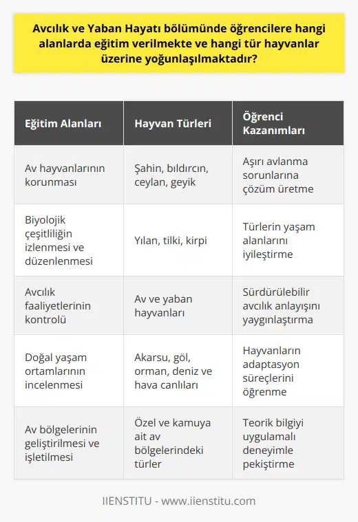 Avcılık ve Yaban Hayatı Eğitimi  Avcılık ve Yaban Hayatı bölümünde öğrencilere, av hayvanlarının korunması, biyolojik çeşitliliğin izlenmesi ve düzenlenmesi, yaşam alanlarının iyileştirilmesi ve avcılık faaliyetlerinin kontrolü gibi alanlarda eğitim verilmektedir. Bu eğitimler, öğrencilerin teknik ve teorik olarak yaban hayatı yöneticilerine yardımcı olabilecek beceri ve bilgiye sahip olmalarını hedeflemektedir.   Öğrencilere Tanınan Hayvanlar ve Yoğunlaşma Alanları  Bölümde öğrencilere hangi tür hayvanlar üzerine yoğunlaşılmaktadır? Öncelikle, şahin, bıldırcın, ceylan, geyik, yılan, tilki, kirpi gibi yaban hayvanları akla ilk gelenler arasında yer almaktadır. Bu ve daha birçok türün aşırı avlanma, yaşam alanlarının ihlali gibi sorunlar sonucunda korunması ve iyileştirilmesi ihtiyacı ortaya çıkmıştır.   Eğitim Programı ve Ders İçerikleri  Avcılık ve Yaban Hayatı bölümünde verilen dersler, yaban hayvanlarının sayımı, üretimi, geliştirilmesi, çeşitliliğinin izlenmesi ve düzenlenmesi için teknik çalışmaları kapsar. Ayrıca, ülkemizde dağılış gösteren av hayvanları ve yaban hayvanlarının biyolojik olarak bölümlerini ve hangi doğal ortamlarda, hangi çevrede yetiştiği bilgisi de öğrencilere sunulmaktadır.  Öğrencilere sunulan eğitim alanları; akarsu, göl, orman, deniz ve hava gibi çeşitli doğal yaşam ortamlarıdır. Bu alanlarda, hayvanların adapte olduğu yaşam alanlarına, kentlere ve iklime uyum sağlayışlarını öğrencilere öğretme ve yaşam alanlarını iyileştirme faaliyetlerini beklemekte ağırlık verilmektedir.  Uygulama ve Koruma Alanlarının İyileştirilmesi  Öğrenciler, özel olarak hazırlanmış ya da kamuya ait olan av bölgelerinin geliştirilmesi ve işletilmesi görevini üstlenerek, hem teorik bilgiye hem de uygulamalı deneyime sahip olmaktadırlar. Bu sayede, mezun olduktan sonra yaban hayatı alanındaki sorunların çözümüne ve koruma çalışmalarına aktif olarak katkı sağlayabilecek niteliklere sahip olmaları hedeflenmektedir.  Sonuç olarak, Avcılık ve Yaban Hayatı bölümünde öğrencilere avcılık ve yaban hayatının korunması, geliştirilmesi ve düzenlenmesi konularında teknik ve teorik eğitim verilmekte; şahin, bıldırcın, ceylan, geyik, yılan, tilki, kirpi gibi türler üzerinde yoğunlaşılmaktadır. Bu eğitimler sayesinde, öğrenciler yaban hayatının korunması ve sürdürülebilir avcılık anlayışının yaygınlaştırılması için gerekli bilgi ve becerilere sahip olarak mezun olmaktadırlar.
