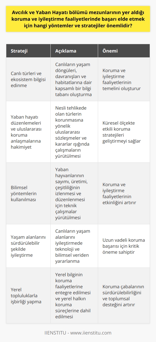 Avcılık ve Yaban Hayatı bölümü mezunlarının yer aldığı koruma ve iyileştirme faaliyetlerinde başarı elde etmek için bir dizi strateji ve yöntem önemlidir. Öncelikle, etkin bir canlı türleri ve ekosistem bilgisi edinme gereklidir. Bu anlamda, canlıların yaşam döngüleri, davranışları ve habitatlarına dair kapsamlı bir bilgi tabanına ihtiyaç duyulmaktadır. Ayrıca, yaban hayatı düzenlemeleri ve uluslararası koruma anlaşmalarına hakim olunması önemlidir. Nesli tehlikede olan türlerin korunmasına yönelik uluslararası sözleşmeler ve kararlar ışığında çalışmaların yürütülmesi gerekmektedir. Bunun yanında, koruma ve iyileştirme faaliyetlerinde bilimsel yöntemlerin kullanılması da başarıyı belirleyen bir diğer önemli faktördür. Özellikle yaban hayvanlarının sayımı, üretimi, çeşitliliğinin izlenmesi ve düzenlenmesi için teknik çalışmalar yürütülmelidir. Bununla birlikte, canlıların yaşam alanlarını sürdürülebilir bir şekilde iyileştirme ve bu alanda teknoloji ve bilimsel veriden yararlanma konusunda da bilgi sahibi olmak gerekmektedir. Son olarak, başarıya ulaşmak için yerel topluluklarla işbirliği yapılmasının öneminden söz etmek gerekir. Yerel bilginin koruma faaliyetlerinin başarısında büyük bir rol oynadığı unutulmamalıdır. Bu nedenle, toplulukların gereksinimleri ve görüşleri göz önünde bulundurularak, yerel halkın da koruma ve iyileştirme süreçlerine dahil edilmesi önemlidir. Tüm bu yöntemler ve stratejiler, Avcılık ve Yaban Hayatı mezunlarının koruma ve iyileştirme faaliyetlerinde başarıya ulaşmasında etkin bir rol oynamaktadır.