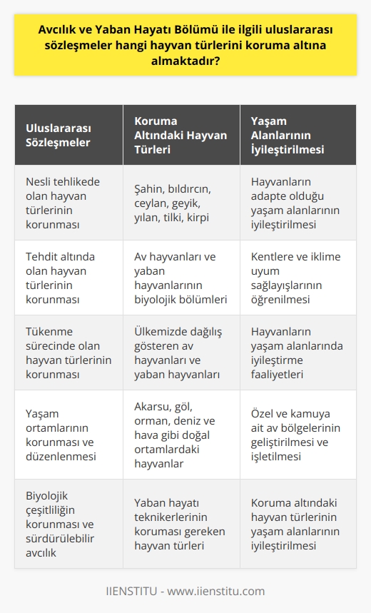 Uluslararası Sözleşmeler ve Koruma Altındaki Hayvan Türleri Avcılık ve Yaban Hayatı Bölümü ile ilgili uluslararası sözleşmeler, nesli tehlikede olan, tehdit altında olan ve tükenme sürecinde olan hayvan türlerinin korunmasını amaçlamaktadır. Bu hayvan türleri arasında şahin, bıldırcın, ceylan, geyik, yılan, tilki ve kirpi gibi canlılar bulunmaktadır. Bu türlerin yaşamlarını sürdürebilmeleri için yaşam ortamlarının korunması ve düzenlenmesi de sözleşmelerin amaçları arasındadır. Yaban Hayatı Teknikerleri ve Eğitim Programları Avcılık ve Yaban Hayatı Bölümü, üniversitelerin meslek yüksekokulları programlarında verilen derslerle yaban hayatı teknikerleri yetiştirmeyi hedeflemektedir. Bu teknikerlerin yetiştirilmesi sürecinde, avcılık ve yaban hayatı yöneticilerine teknik ve teorik olarak yardımcı olabilecek beceri ve bilgiye sahip olmaları önemsenmektedir. İki yıllık örgün eğitim veren bu programlar, TYT puanı ile öğrenci kabul etmektedir. Hayvan Türlerinin İzlenmesi ve Yaşam Alanlarının İyileştirilmesi Avcılık ve Yaban Hayatı Bölümü, yaban hayvanlarının sayımı, üretimi, geliştirilmesi ve çeşitliliğinin izlenmesi için teknik çalışmalar yürütmektedir. Bu çalışmalar, ülkemizde dağılış gösteren av hayvanları ve yaban hayvanlarının biyolojik bölümlerini ve hangi doğal ortamlarda yetiştiği bilgisini içermektedir. Öğrencilere, hayvanların adapte olduğu yaşam alanlarına, kentlere ve iklime uyum sağlayışlarını öğreten bölüm, bu konularda hayvanların yaşam alanlarını iyileştirme faaliyetlerini de beklemektedir. Özel ve Kamuya Ait Av Bölgelerinin Geliştirilmesi ve İşletilmesi Avcılık ve Yaban Hayatı Bölümü, özel olarak hazırlanmış ya da kamuya ait olan av bölgelerinin geliştirilmesi ve işletilmesi görevlerini öğrencilerine vermektedir. Bu görevler, bölümün eğitim alanını oluşturan akarsu, göl, orman, deniz ve hava gibi doğal ortamlarda gerçekleştirilmektedir. Bu sayede, koruma altındaki hayvan türlerinin yaşam alanlarında iyileştirme faaliyetleri yapılarak, biyolojik çeşitliliğin korunması ve sürdürülebilir avcılık hedeflenmektedir.