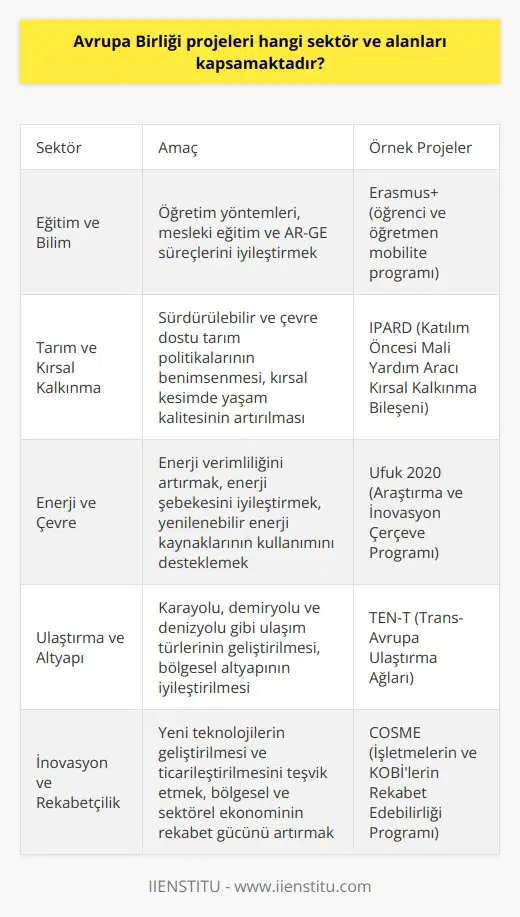 Avrupa Birliği Projeleri ve Sektörleri  Avrupa Birliği (AB) projeleri, gelişimi ve işbirliğini teşvik etmek amacıyla hayata geçirilen ve farklı sektörlerde faaliyet gösteren projeler arasındadır. Bu kapsamda, AB üyesi ülkelerin çeşitli sektörler ve alanlarla sürdürdüğü işbirliği projeleri bulunmaktadır.  Eğitim ve Bilim Alanındaki Projeler  Eğitim ve bilim alanında, Avrupa Birliği projeleri öğretim yöntemleri, mesleki eğitim ve AR-GE süreçlerini iyileştirmeyi amaçlamaktadır. Bu sektörde, Erasmus+ gibi öğrenci ve öğretmen mobilitesi sağlayan projeler yer almaktadır.  Tarım ve Kırsal Kalkınma Projeleri  Tarım ve kırsal kalkınma sektöründe Avrupa Birliği projeleri, sürdürülebilir ve çevre dostu tarım politikalarının benimsenmesini hedeflerken, aynı zamanda kırsal kesimde yaşam kalitesinin artırılması ve kırsal dönüşüm politikalarının desteklenmesi amacıyla hazırlanmaktadır.  Enerji ve Çevre Projeleri  Enerji ve çevre alanında, Avrupa Birliği projeleri enerji verimliliğini artırmayı, enerji şebekesini iyileştirmeyi ve yenilenebilir enerji kaynaklarının kullanımını desteklemeyi hedeflemektedir. Bu alandaki projeler, enerji kaynaklarının sürdürülebilir kullanımını ve çevre dostu politikaların benimsenmesini öngörmektedir.  Ulaştırma ve Altyapı Projeleri  AB projeleri, ulaştırma ve altyapı kanadında, karayolu, demiryolu ve denizyolu gibi ulaşım türlerinin geliştirilmesini desteklerken, bölgesel altyapının iyileştirilmesi ve uluslararası bağlantıların kurulması yönünde projeler sunmaktadır.  İnovasyon ve Rekabetçilik Projeleri  İnovasyon ve rekabetçilik alanında, Avrupa Birliği projeleri, yeni teknolojilerin geliştirilmesini ve ticarileştirilmesini teşvik etmeyi, bölgesel ve sektörel ekonom  n rekabet gücünü artırmayı ve işbirliğini geliştirmeyi amaçlamaktadır.  Sonuç olarak, Avrupa Birliği projeleri, üye ülkelerin yaşam kalitelerini artırma, ekonomik gelişme ve işbirliğini teşvik etmeye yönelik birçok farklı sektör ve alanı kapsamaktadır. Bu projelerin başarılı bir şekilde uygulanması ve sürdürülmesi açısından AB proje uzmanlarının rolü büyük önem taşımaktadır.