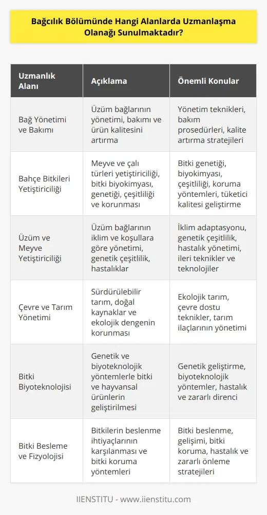 Bağcılık bölümünde eğitim alan öğrenciler, tarım sektörünün önemli bir dalı olan bağ ve üzüm yetiştiriciliği ile ilgili birçok alanda uzmanlaşma imkanı bulabilirler. Bu bölümde sunulan uzmanlaşma alanları arasında, üzüm bağlarının yönetimi ve bakımı, üzüm çeşitlerinin yetiştirilmesi ve kalitesinin artırılması, meyve ve bahçe bitkileri yetiştiriciliği ve ürünlerin pazarlanması gibi konular ön plana çıkmaktadır.Bahçe bitkileri alanında uzmanlaşma, özellikle meyve ve çalı türlerinin yetiştiriciliği, bakımı ve bu bitkilerle yapılan ticaret ile ilgilidir. Bu alanda, bitki biyokimyası ve bitki genetiği, bitki çeşitliliği ve korunması gibi daha temel bilimlere de yer verilmektedir. Ayrıca, bahçe bitkilerinin tüketici kalitesinin geliştirilmesi ve kalite yönetimi ile muhafaza konuları da önemli bir yer tutmaktadır.Üzüm yetiştiriciliği ve kışlık meyve yetiştiriciliği ise, bağcılık bölümünün en önemli ve özel alanlarından biridir. Bu alanda, üzüm bağlarının farklı iklim ve koşullarda yönetimi, genetik çeşitlilik ve hastalıklar, üzüm ve meyve yetiştiriciliğinde kullanılan ileri teknik ve teknolojiler, kalite yönetimi ve üzüm ürünlerinin pazarlama stratejileri gibi konular dikkate alınmaktadır.Çevre ve tarım yönetimiyle ilgili uzmanlaşma alanı, bağcılık ve tarım sektörünün sürdürülebilir bir şekilde ilerlemesi ve doğal kaynakların korunması ile ilgilidir. Bu alanda, tarım alanlarının ekolojik dengelerine uygun işletilmesi ve çevreyle uyumlu tarım teknikleri ile tarım ilaçlarının kullanımı gibi konulara odaklanılmaktadır.Bitki biyoteknolojisi ve biyoteknolojik araştırmalarla ilgili uzmanlaşma alanında ise, bitkisel ve hayvansal ürünlerin genetik ve biyoteknolojik yöntemlerle geliştirilmesi ve iyileştirilmesi, bitkilerin hastalıklara ve zararlılara karşı dirençli hale getirilmesi gibi konular üzerinde çalışılmaktadır.Son olarak, bitki besleme ve bitki fizyolojisi alanında uzmanlaşan öğrenciler, bitkilerin gelişimi ve yaşam süreçleriyle ilgili detaylı bilgilere sahip olurlar. Bu alan, bitkilerin beslenme ihtiyaçlarını karşılamak ve bitki yetiştiriciliğinde önemli bir alan olan bitki hastalıklarının ve zararlıların önlenmesi için bitki koruma yöntemlerini incelemeyi kapsar.