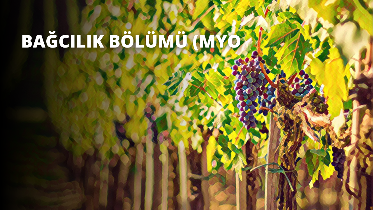 Bağcılık Bölümü (MYO)