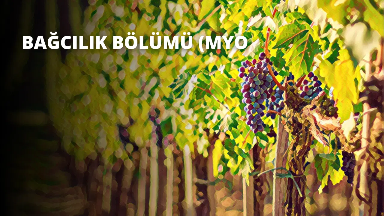 Bağcılık Bölümü (MYO)