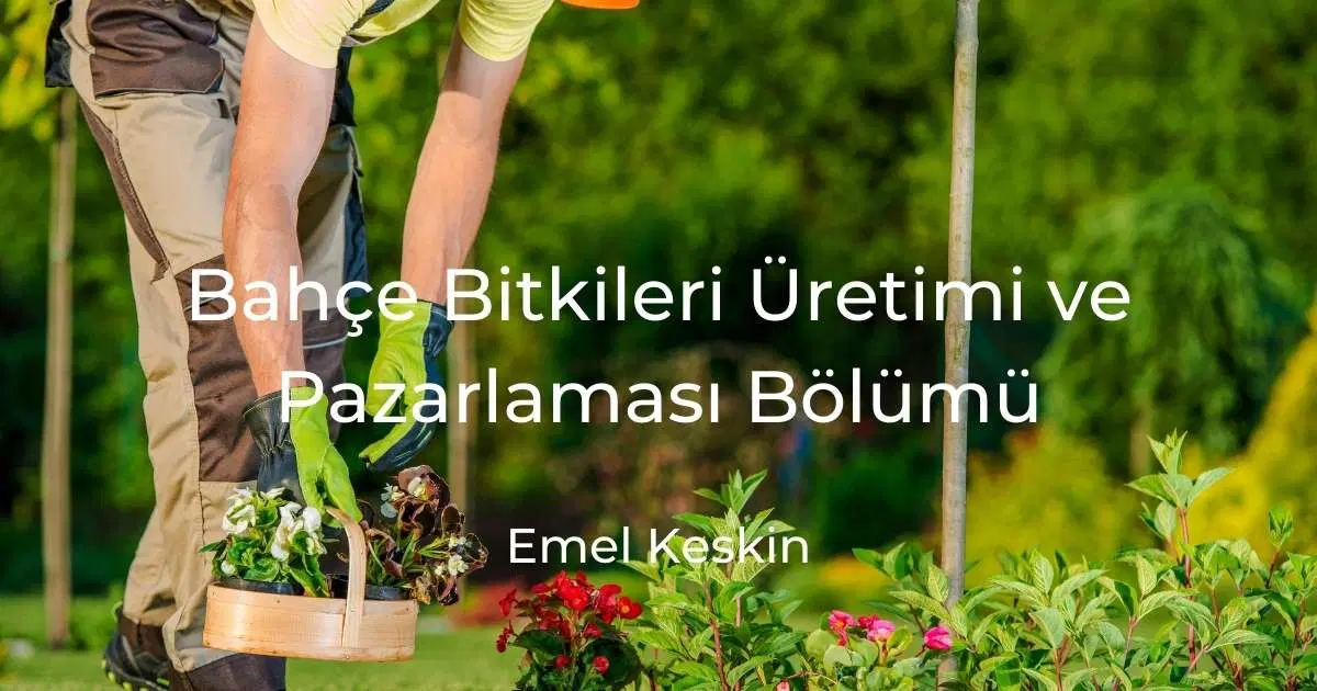 Bahçe Bitkileri Üretimi ve Pazarlaması Bölümü