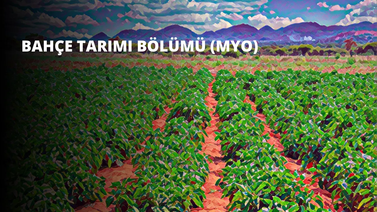 Bahçe Tarımı Bölümü (MYO)