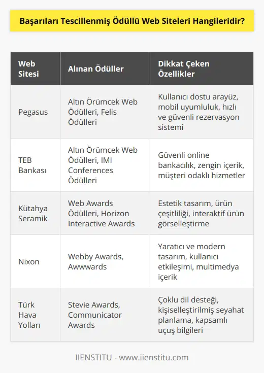 Başarıları tescillenmiş ödüllü web site örnekleri şunlardır; Pegasus, TEB Bankası, Kütahya Seramik, Nixon.