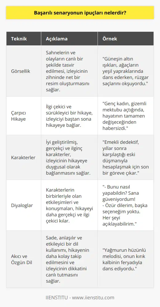 Başarılı senaryonun en önemli göstergesi zihinde canlandırılan sahne veya olayın tam bir şekilde izleyenlere aktarılabilmesini sağlamaktır. Bunun için bazı teknikler bulunur. Görsellik, baştan sonra götürecek çarpıcı bir hikaye, karakterler, diyaloglar, akıcı ve özgün sade bir dil kullanımı oldukça önemlidir.