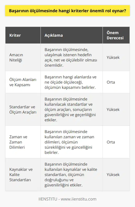 Başarının ölçülmesinde önemli kriterler arasında başarıya ulaşılan amacın niteliği, başarının ölçüleceği alanlar ve ölçümün kapsamı, başarının ölçülmesinde kullanılacak standartlar ve ölçüm araçları, başarının ölçülmesinde kullanılan zaman ve zaman dilimleri, başarının ölçülmesinde kullanılan kaynaklar ve kalite standartları sayılabilir.