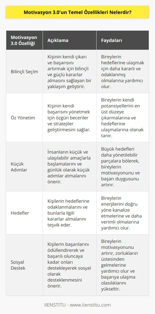 1. Bilinçli Seçim: Motivasyon 3.0, kişinin kendi çıkarı ve başarısını artırmak için bilinçli ve güçlü kararlar almasını sağlayan bir yaklaşım geliştirmektedir. 2. Öz Yönetim: Motivasyon 3.0, kişinin kendi başarısını yönetmek için özgün beceriler ve stratejiler geliştirmesini sağlar. 3. Küçük Adımlar: Motivasyon 3.0, insanların küçük ve ulaşılabilir amaçlarla başlamalarını ve günlük olarak küçük adımlar atmalarını önermektedir. 4. Hedefler: Motivasyon 3.0, kişilerin hedeflerine odaklanmalarını ve bunlarla ilgili kararlar almalarını teşvik etmektedir. 5. Hedef Odaklı Ödüllendirme: Motivasyon 3.0, kişinin başarılarının belirli hedeflere ulaşmak için ödüllendirilmesini teşvik etmektedir. 6. Sosyal Destek: Motivasyon 3.0, kişilerin başarılarını ödüllendirerek ve başarılı oluncaya kadar onları destekleyerek sosyal olarak desteklenmesini önermektedir. 7. Gelecek-Odaklı Düşünme: Motivasyon 3.0, kişinin kendi başarısı hakkında gelecekteki potansiyeline odaklanmasını ve onu yönetmeyi önermektedir.