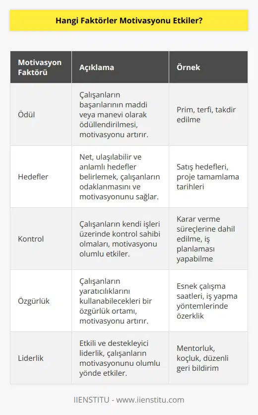 Motivasyonu etkileyen faktörler arasında; ödül, hedefler, kontrol, özgürlük, takdir, özellikler, paydaşlar, liderlik, çevre ve çalışma durumu sayılabilir.