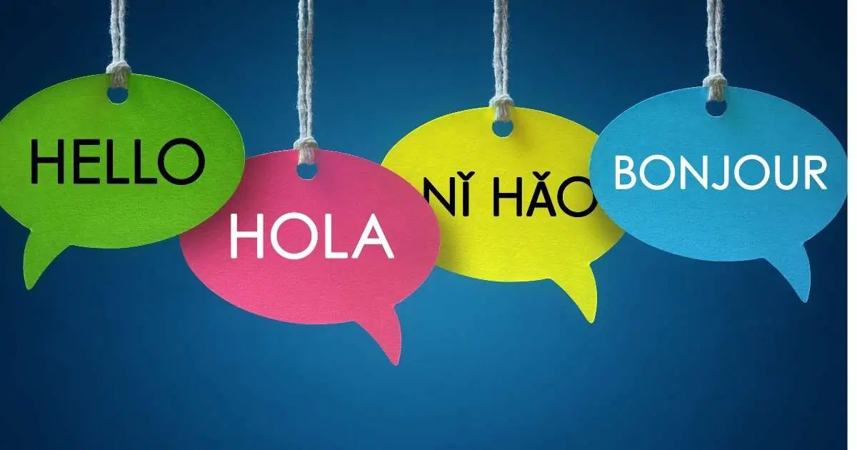 Başımızın Tatlı Belası: Dil Öğrenmek