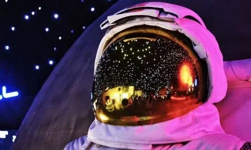 Bekar Kalmak İsteyenler için Meslek Önerileri