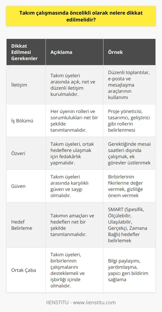 1) İletişim: Takım üyeleri arasındaki iletişimin açık ve net olmasına dikkat edilmelidir. 2) İşbölümü: Takım üyelerinin rolleri ve sorumlulukları net olarak belirlenmelidir. 3) Özveri: nda her üyenin katkısının değerlendirilmesi ve çalışmaya önem verilmesi gerekir. 4) Güven: Takım üyelerinin birbirlerine güvenmesi ve herkesin katkısının değerlendirilmesi sağlanmalıdır. 5) Hedef Belirleme: nın amacı ve hedefleri net olarak belirlenmelidir. 6) Ortak Çaba: Takım üyeleri arasında birbirlerinin çalışmalarını desteklemek ve ortak çaba ile çalışmak önemlidir.