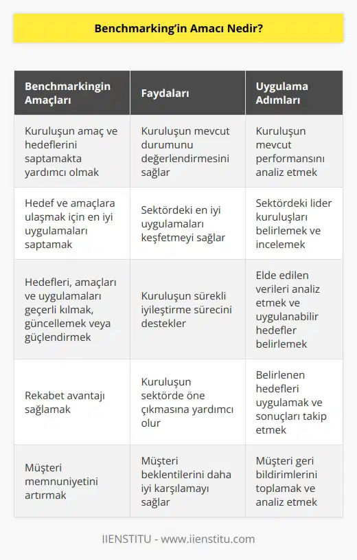 Kuruluşun amaç ve hedeflerini saptamakta yardımcı olmak, Hedef ve amaçlara ulaşmak için en iyi uygulamaları saptamak, Hedefleri, amaçları ve uygulamaları geçerli kılmak, nü değiştirmek veya güçlendirmek