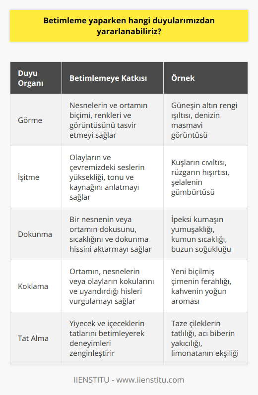 Betimleme ve Duyular  Betimleme, görsel ve dokunsal duyularımızın yanı sıra işitme, koklama ve tat alma duyularımızı da kullanarak bir olayı, nesneyi veya ortamı anlatma sanatıdır. Bu beş duyu organımızın kullanılması, betimlemede daha ayrıntılı ve zengin bir anlatım sağlar.  Görme ve Betimleme  Görsel duyu, betimlemedeki ana çıkış noktasıdır. Görsellik göz önünde bulundurularak yapılan betimlemede, nesnelerin ve ortamın biçimi, renkleri ve görüntüsü dikkate alınır. İyi bir gözlem ile tasvir etmek daha da kolaylaşır ve görebildiğimiz her şeyi betimlemek mümkün hale gelir.  İşitme ve Betimleme  İşitme duyusu, betimleyici anlatımda kullanılarak olayların ve çevremizdeki seslerin anlatılmasını sağlar. Seslerin yüksekliği, tonu ve kaynağı gibi özellikler betimleme esnasında ön plana çıkar.  Dokunma ve Betimleme  Dokunma duyusu, betimlemeye bir nesnenin veya ortamın dokusunu, sıcaklığını ve dokununca hissedilen hislerini ekler. Bu sayede anlatılan olay veya nesnenin daha gerçekçi ve canlı bir biçimde aktarılması mümkün olur.  Koklama ve Betimleme  Koklama duyusu, betimlemede kullanıldığında ortamın, nesnelerin veya olayların kokularına ve bu kokuların uyandırdığı hislere vurgu yapar. Betimlemede kokuların anlatılması, anlatıcı ve dinleyici arasında daha güçlü bir bağlantı kurulmasına yardımcı olur.  Tat Alma ve Betimleme  Tat alma duyusu, betimlemede özellikle yiyecek ve içeceklerle ilgili anlatımlara zenginlik katar. Tatlar, yaşamın önemli bir parçasıdır ve deneyimleri aktarmada iyi bir araçtır.  Sonuç olarak, betimleme yaparken görsel, işitme, dokunma, koklama ve tat alma duyularımızı kullanarak daha zengin, ayrıntılı ve canlı bir anlatım elde edebiliriz.