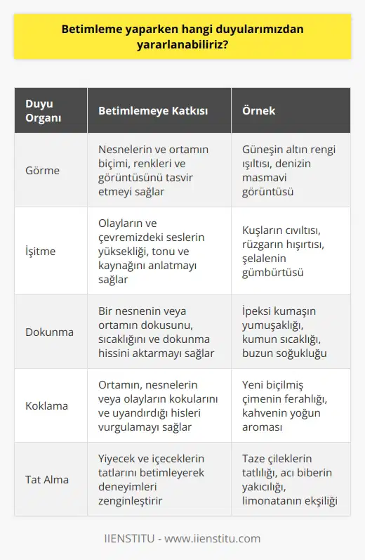 Betimleme ve Duyular Betimleme, görsel ve dokunsal duyularımızın yanı sıra işitme, koklama ve tat alma duyularımızı da kullanarak bir olayı, nesneyi veya ortamı anlatma sanatıdır. Bu beş duyu organımızın kullanılması, betimlemede daha ayrıntılı ve zengin bir anlatım sağlar. Görme ve Betimleme Görsel duyu, betimlemedeki ana çıkış noktasıdır. Görsellik göz önünde bulundurularak yapılan betimlemede, nesnelerin ve ortamın biçimi, renkleri ve görüntüsü dikkate alınır. İyi bir gözlem ile tasvir etmek daha da kolaylaşır ve görebildiğimiz her şeyi betimlemek mümkün hale gelir. İşitme ve Betimleme İşitme duyusu, betimleyici anlatımda kullanılarak olayların ve çevremizdeki seslerin anlatılmasını sağlar. Seslerin yüksekliği, tonu ve kaynağı gibi özellikler betimleme esnasında ön plana çıkar. Dokunma ve Betimleme Dokunma duyusu, betimlemeye bir nesnenin veya ortamın dokusunu, sıcaklığını ve dokununca hissedilen hislerini ekler. Bu sayede anlatılan olay veya nesnenin daha gerçekçi ve canlı bir biçimde aktarılması mümkün olur. Koklama ve Betimleme Koklama duyusu, betimlemede kullanıldığında ortamın, nesnelerin veya olayların kokularına ve bu kokuların uyandırdığı hislere vurgu yapar. Betimlemede kokuların anlatılması, anlatıcı ve dinleyici arasında daha güçlü bir bağlantı kurulmasına yardımcı olur. Tat Alma ve Betimleme Tat alma duyusu, betimlemede özellikle yiyecek ve içeceklerle ilgili anlatımlara zenginlik katar. Tatlar, yaşamın önemli bir parçasıdır ve deneyimleri aktarmada iyi bir araçtır. Sonuç olarak, betimleme yaparken görsel, işitme, dokunma, koklama ve tat alma duyularımızı kullanarak daha zengin, ayrıntılı ve canlı bir anlatım elde edebiliriz.