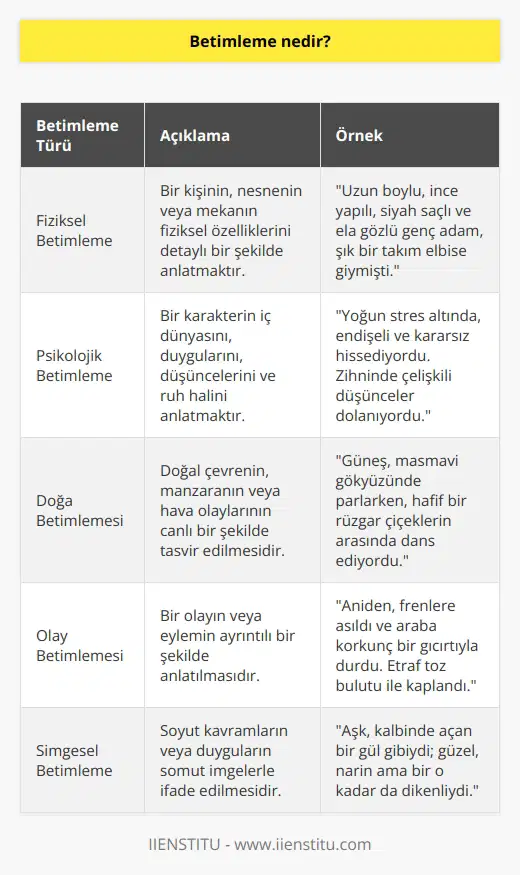Bir ortamın özelliklerini canlandıracak şekilde yazı ve sözle anlatmaktır. Bir kavramın göz önünde canlandıracak bir şekilde kendine özgü yönlerini vurgulayarak tasvir edilmesidir. Bir durumun ya da bir kavramın fotoğrafının çekilmesine denir.