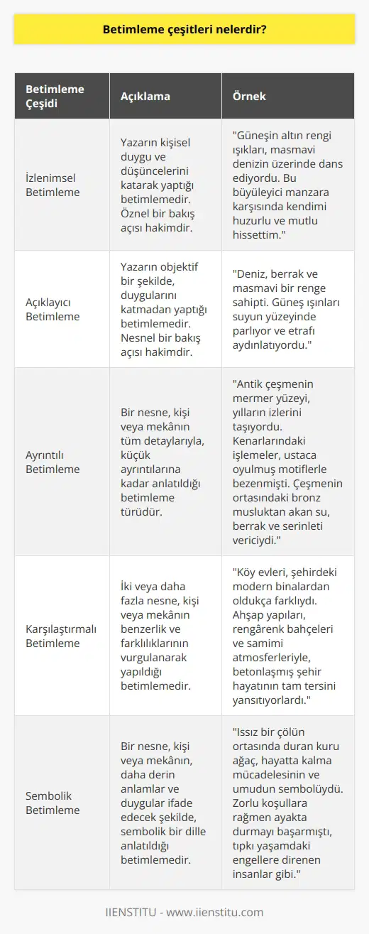 İki çeşidi bulunur. Bunlar; izlenimsel ve açıklayıcıdır. İkiye ayrılmasının nedeni yazarın anlatıma duygularını katıp katmaması durumudur.