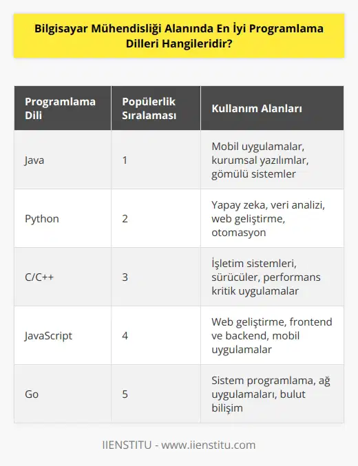 En iyi programlama dilleri şöyle sıralanabilir: Java, Python, C/C++, JavaScript, Go, Swift, PHP, Ruby, Rust, C# ve TypeScript.